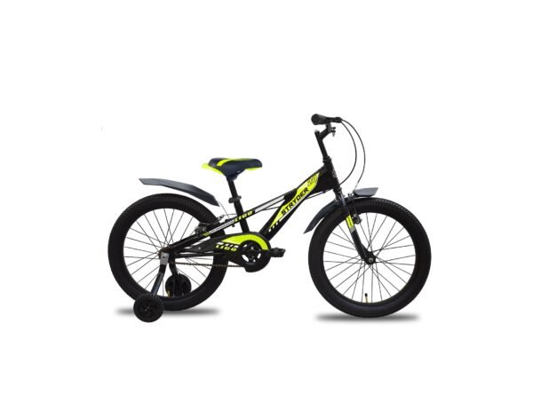 20 Ligo Kids Bicycle