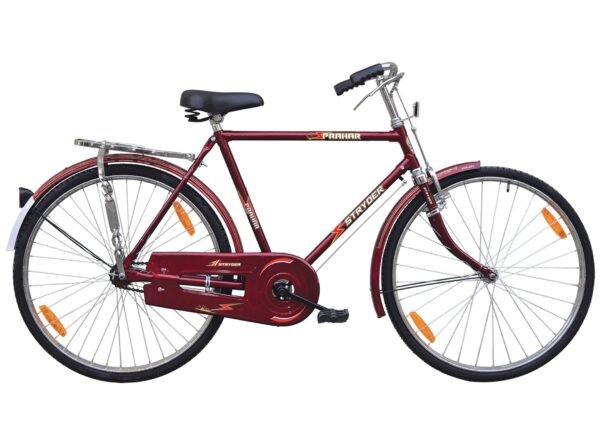 Bicycle 20 Prahar