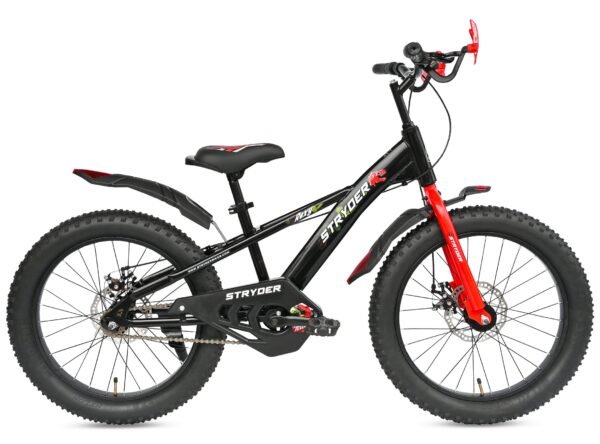 20T Rexy 3.00 Kids Bicycle